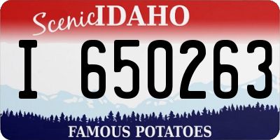 ID license plate I650263