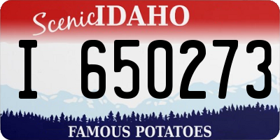 ID license plate I650273