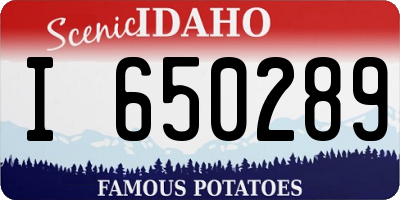 ID license plate I650289