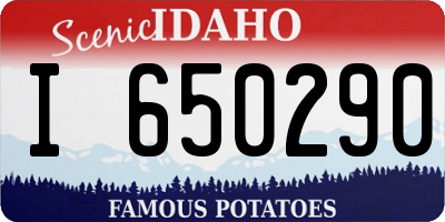 ID license plate I650290