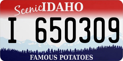 ID license plate I650309