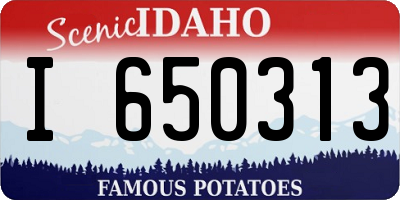 ID license plate I650313
