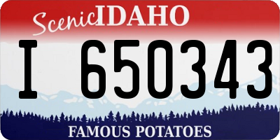 ID license plate I650343