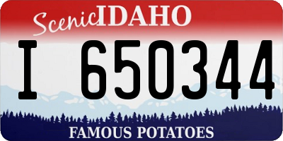 ID license plate I650344