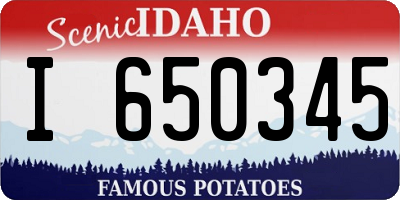 ID license plate I650345