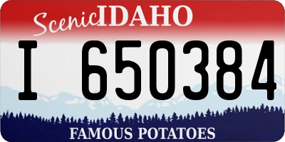 ID license plate I650384