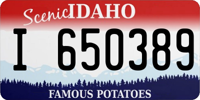 ID license plate I650389