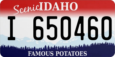 ID license plate I650460