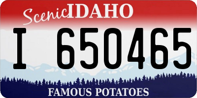 ID license plate I650465