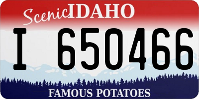 ID license plate I650466