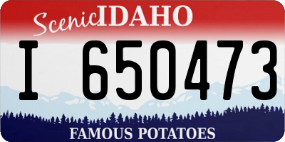 ID license plate I650473
