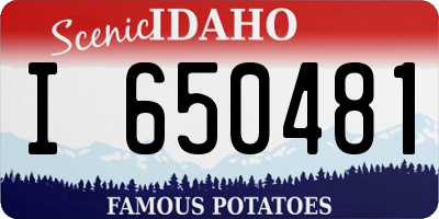 ID license plate I650481