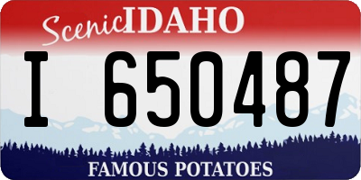 ID license plate I650487