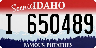 ID license plate I650489