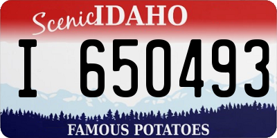 ID license plate I650493