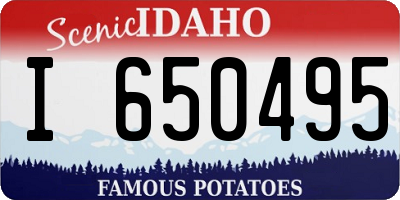 ID license plate I650495