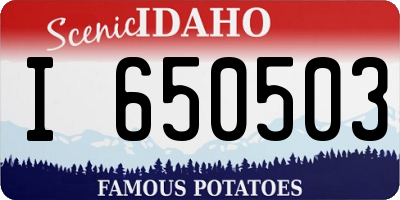 ID license plate I650503