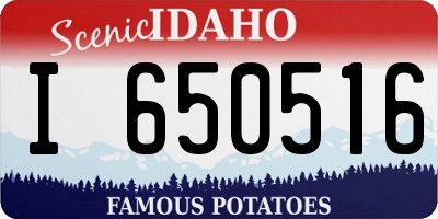 ID license plate I650516