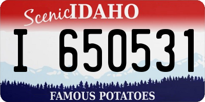 ID license plate I650531