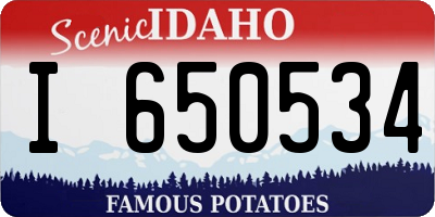 ID license plate I650534