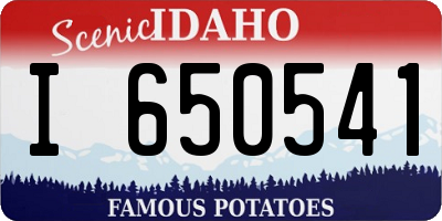 ID license plate I650541