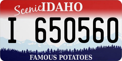ID license plate I650560