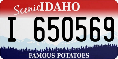 ID license plate I650569