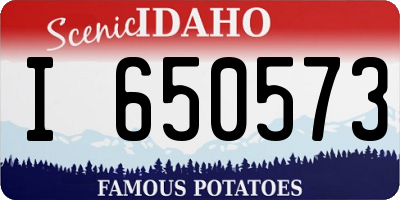 ID license plate I650573