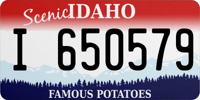 ID license plate I650579
