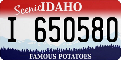 ID license plate I650580