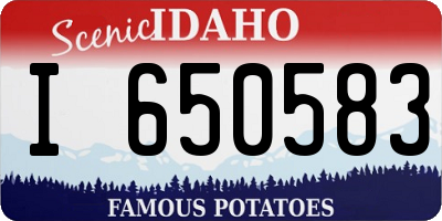 ID license plate I650583