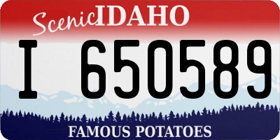 ID license plate I650589