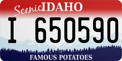 ID license plate I650590