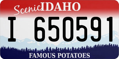 ID license plate I650591