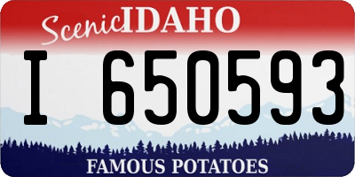 ID license plate I650593