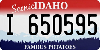 ID license plate I650595