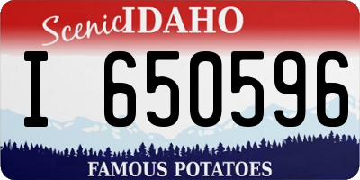 ID license plate I650596