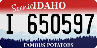 ID license plate I650597