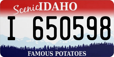 ID license plate I650598