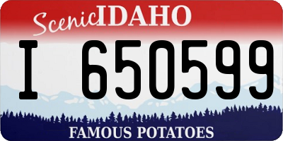 ID license plate I650599