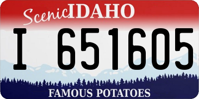 ID license plate I651605