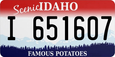 ID license plate I651607