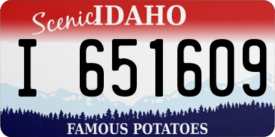 ID license plate I651609