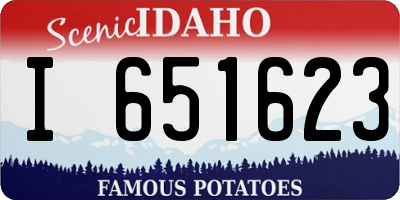 ID license plate I651623