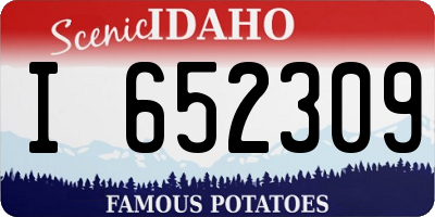 ID license plate I652309
