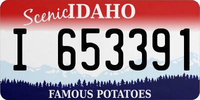 ID license plate I653391