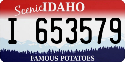 ID license plate I653579