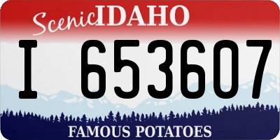 ID license plate I653607