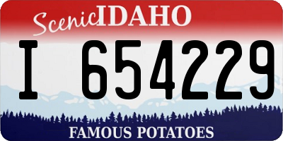 ID license plate I654229
