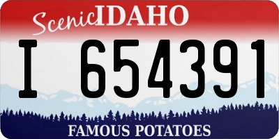 ID license plate I654391